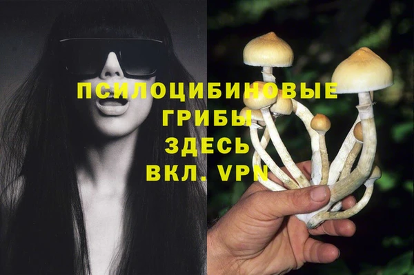 МДПВ Белокуриха
