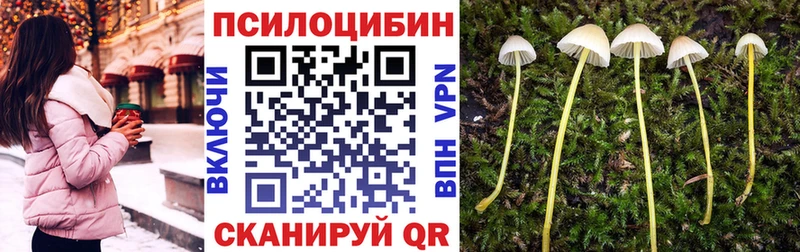 Псилоцибиновые грибы Psilocybe  МЕГА онион  Волгореченск 